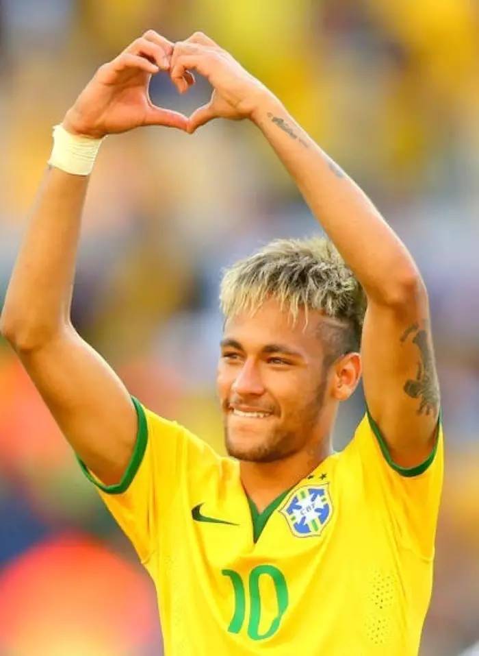 并有意将其 并有意将其